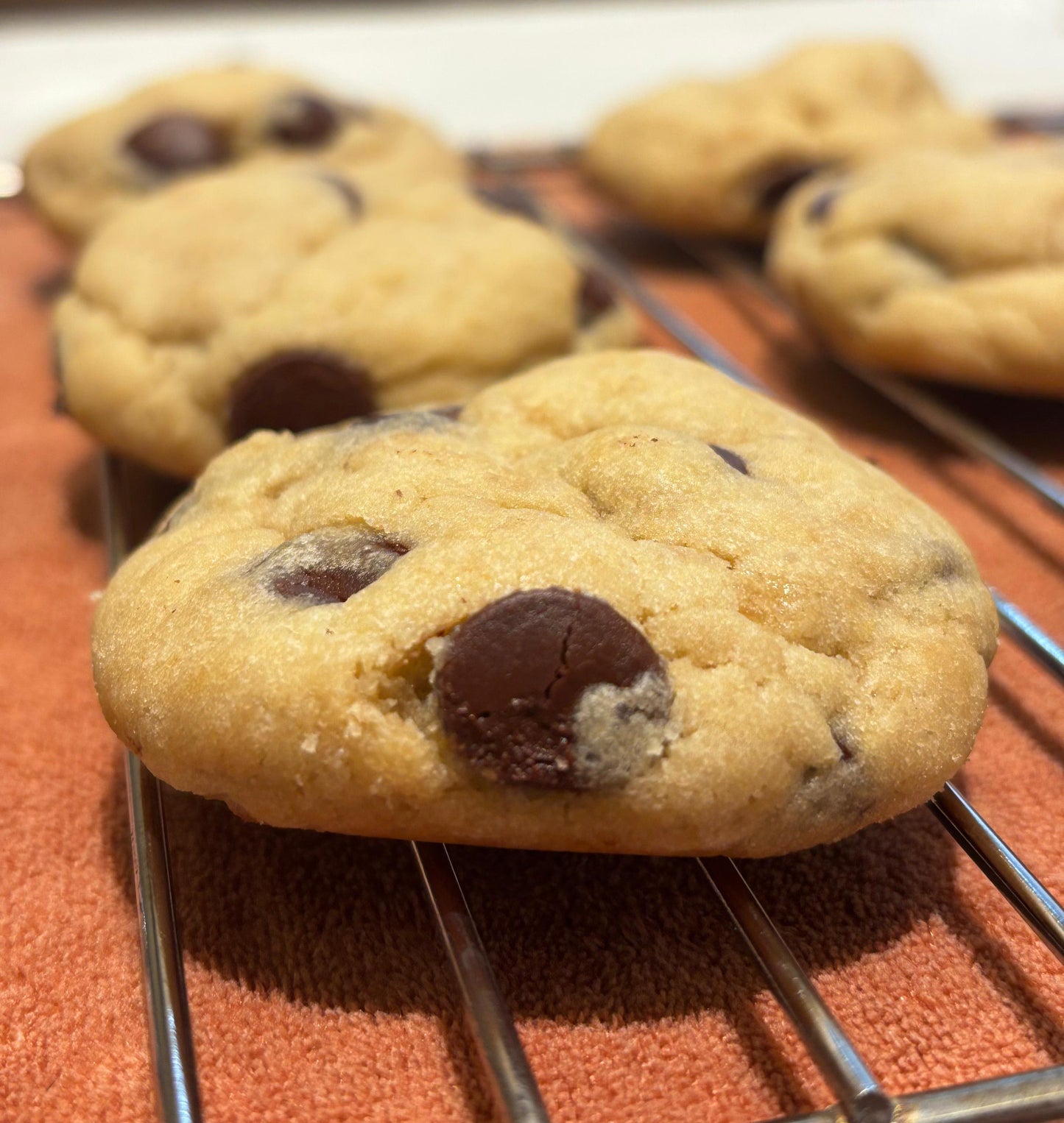 Choco Chip Cookie